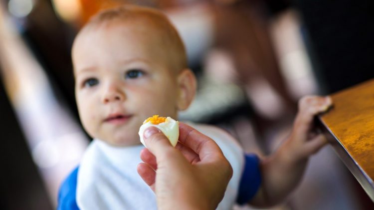 Toddler eating boiled egg in the restaurant
497869614
Russian Ethnicity, Male Beauty, Morning, Healthy Eating, Boys, Meal, Gourmet, Bib, Cute, Child, Baby, Sitting, Eating, Caucasian Ethnicity, Small, Lifestyles, Childhood, Horizontal, Son, Offspring, Mother, Family, Breakfast, Lunch, Dinner, Eggs, Food